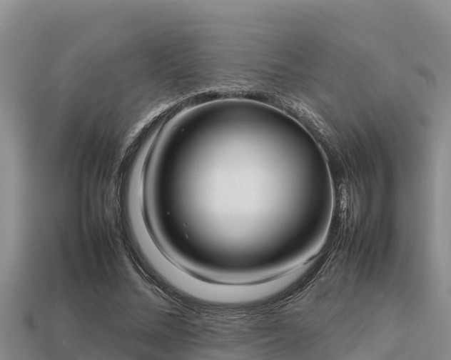 X0000113210684200909171535