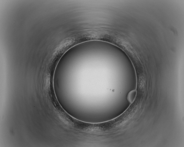 X0000113210685200909171535