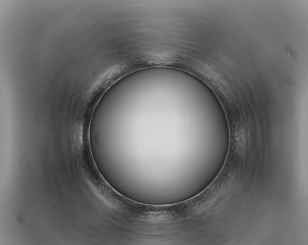 X0000113210686200909171535