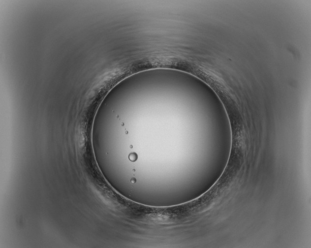 X0000113210687200909171535