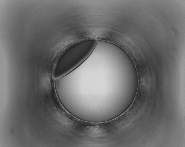 X0000113210688200909171535