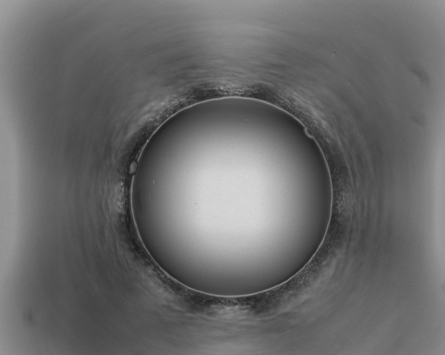 X0000113210689200909171535