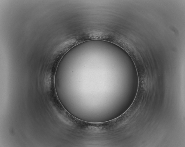 X0000113210690200909171535