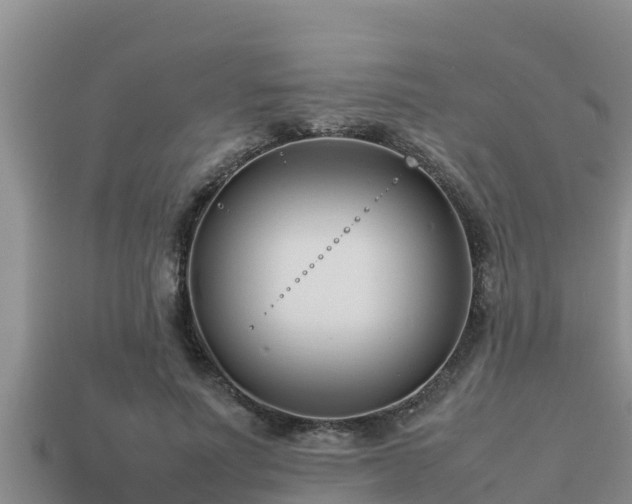 X0000113210691200909171534