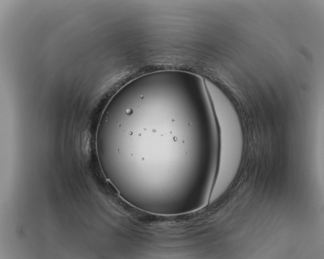 X0000113210692200909171534