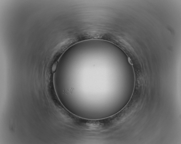 X0000113210693200909171534