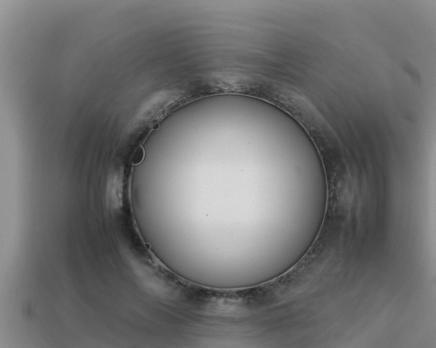 X0000113210694200909171534