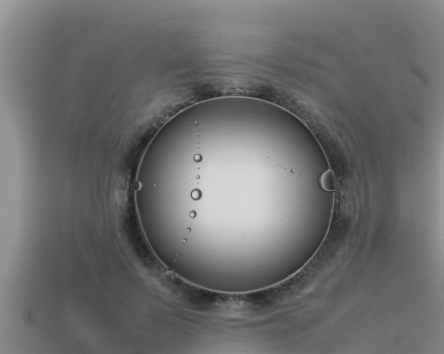 X0000113210695200909171534