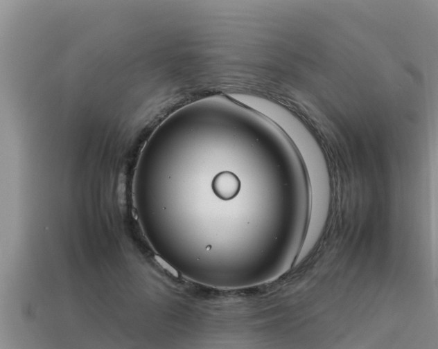 X0000113210696200909171534