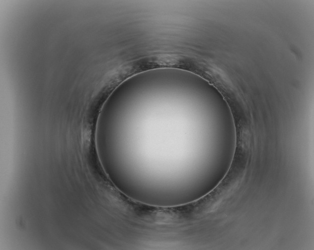 X0000113210697200909171534