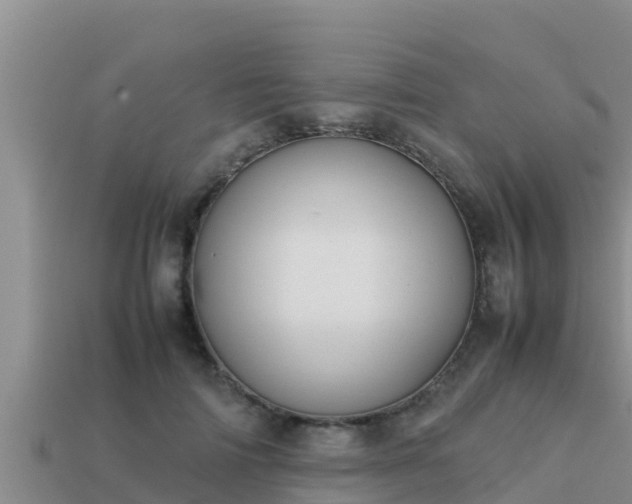 X0000113210698200909171534