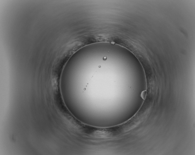 X0000113210699200909171534