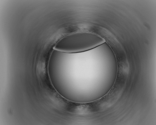 X0000113210700200909171534