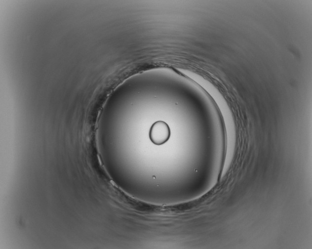 X0000113210701200909171534