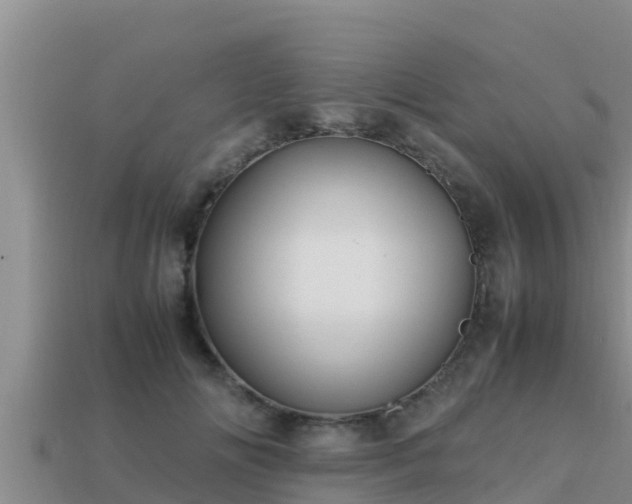 X0000113210702200909171534