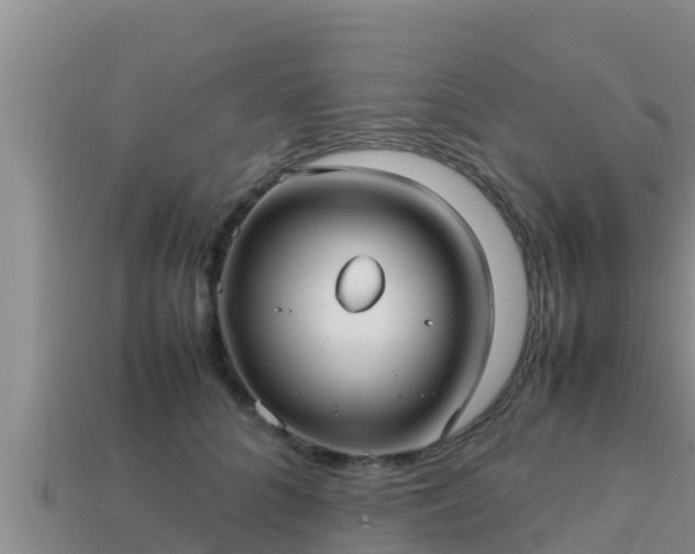 X0000113210704200909171534