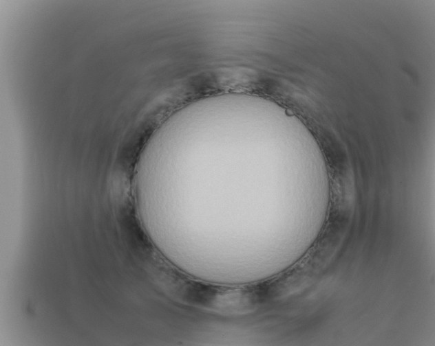 X0000113210705200909171534