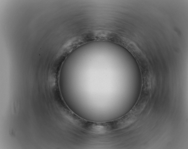 X0000113210706200909171534