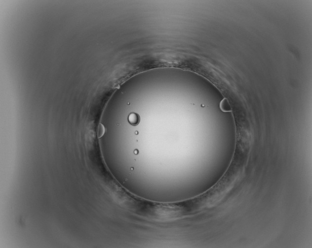 X0000113210707200909171534