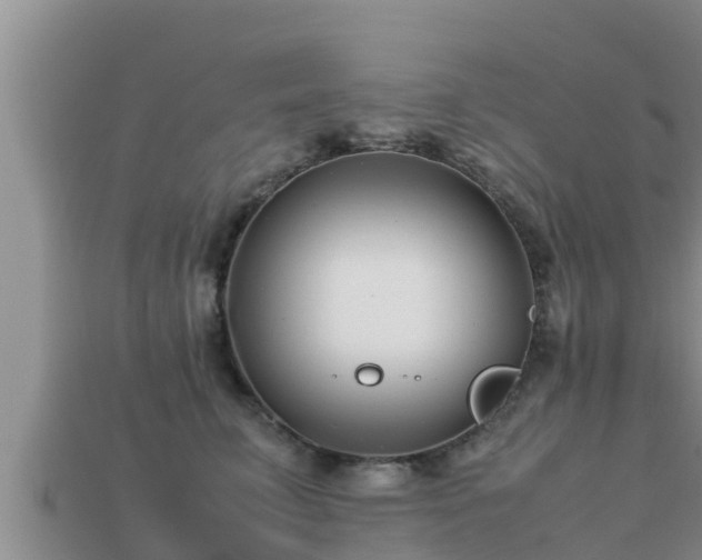 X0000113210711200909171534