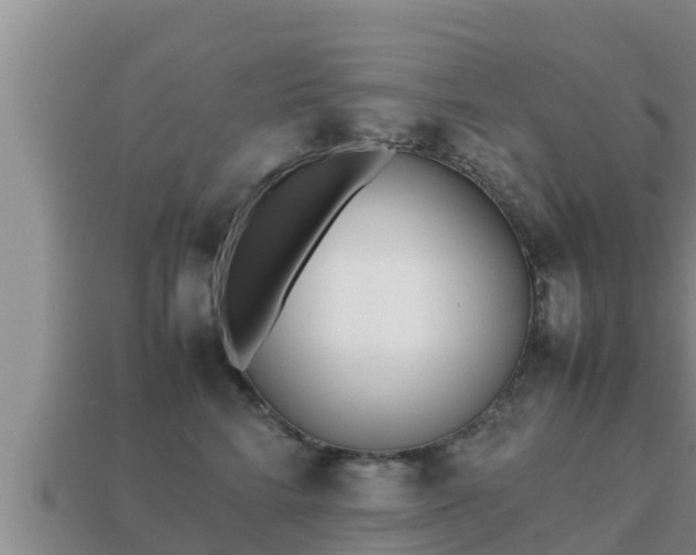 X0000113210712200909171534