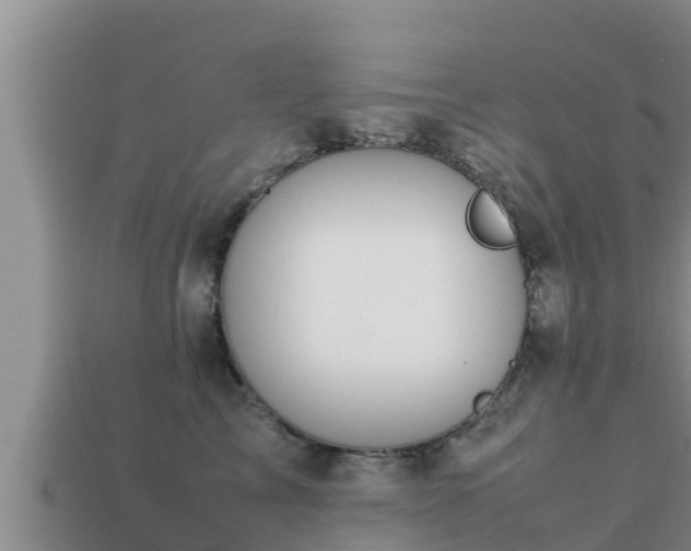 X0000113210713200909171534