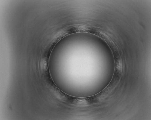 X0000113210715200909171534