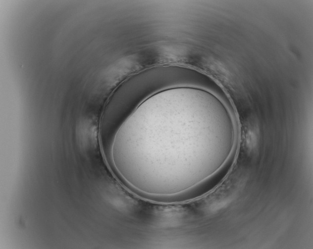 X0000113210716200909171534