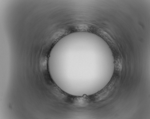 X0000113210717200909171534