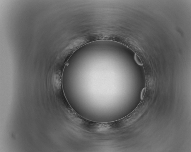 X0000113210719200909171534