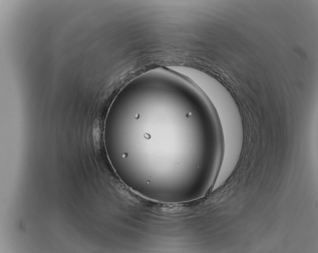 X0000113210720200909171534