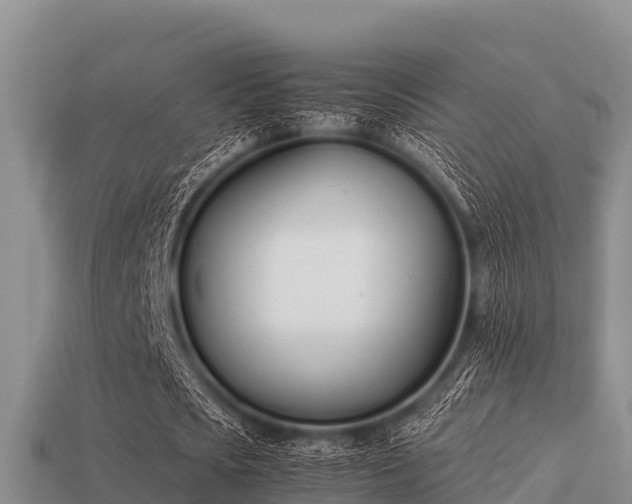 X0000113210721200909171533