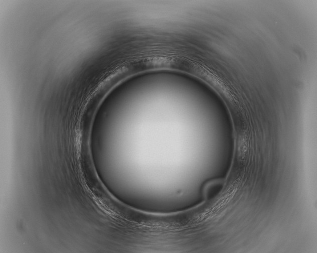 X0000113210722200909171533