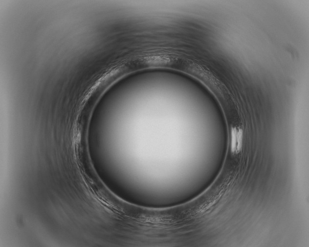 X0000113210723200909171533