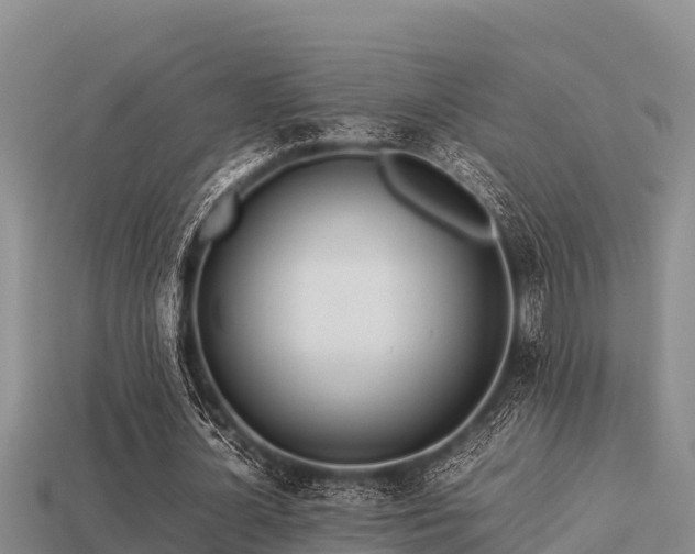 X0000113210724200909171533