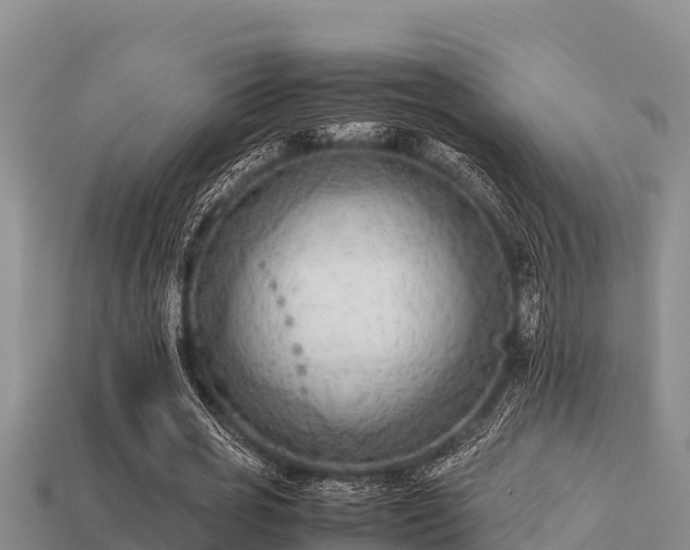 X0000113210725200909171533