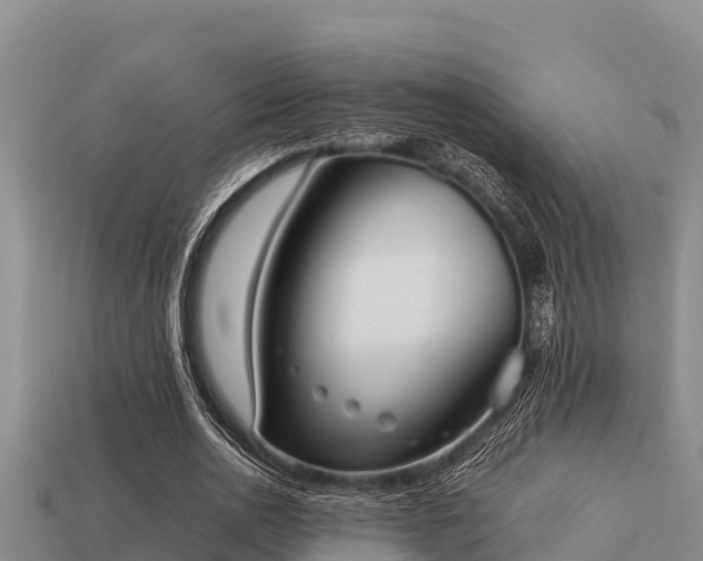 X0000113210726200909171533