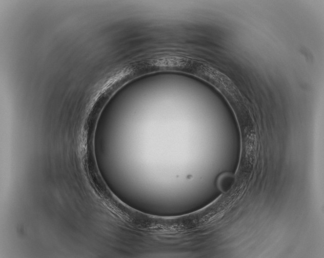 X0000113210727200909171533