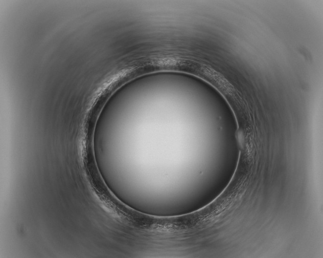 X0000113210728200909171533