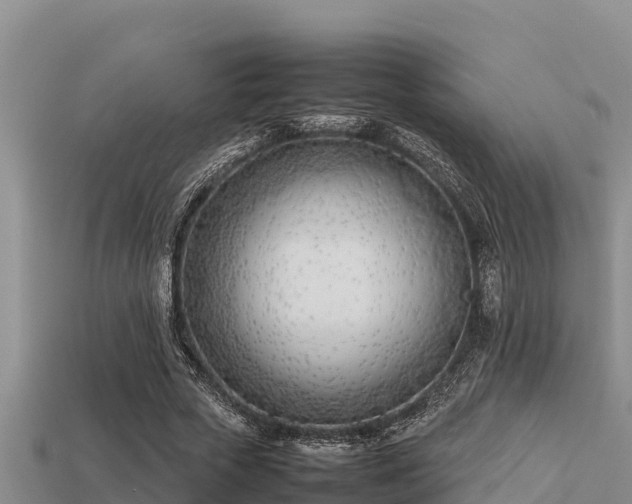 X0000113210729200909171533