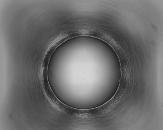 X0000113210730200909171533