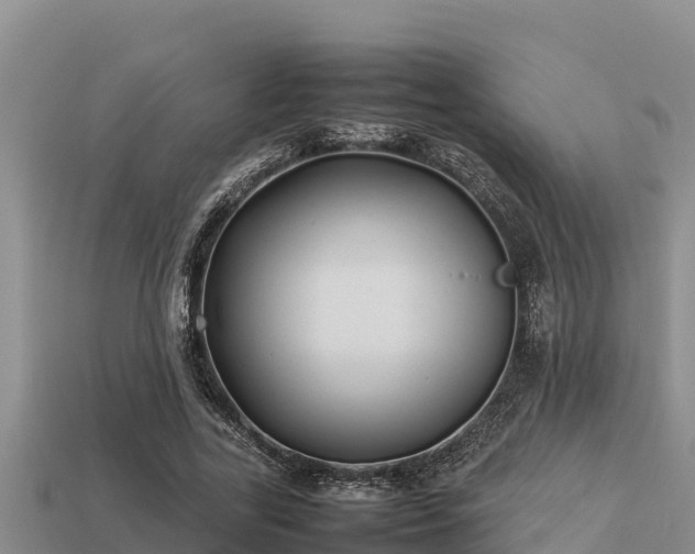 X0000113210731200909171533