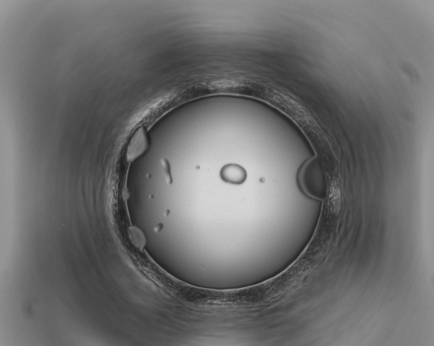 X0000113210732200909171533