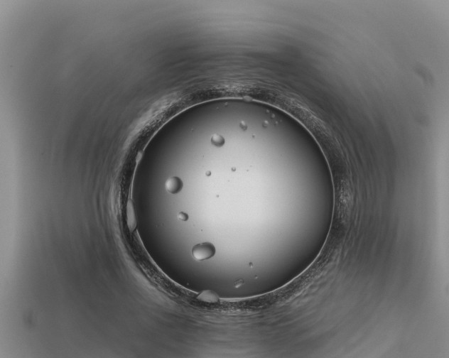 X0000113210734200909171533