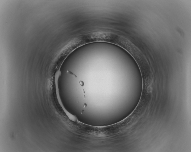 X0000113210735200909171534