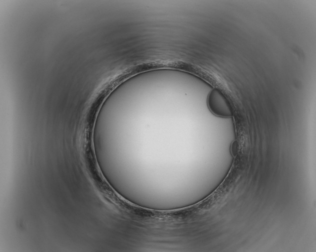 X0000113210736200909171534