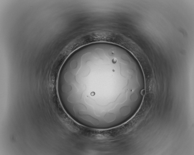 X0000113210737200909171534