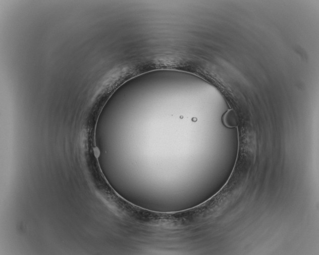 X0000113210738200909171534