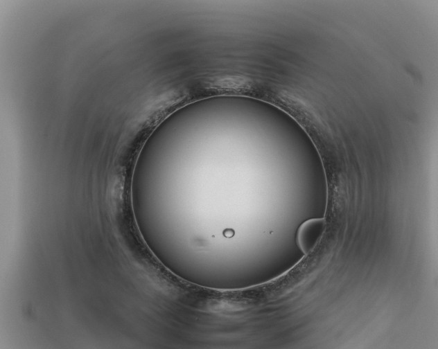 X0000113210739200909171534