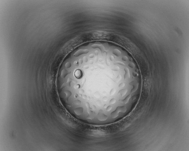 X0000113210741200909171534